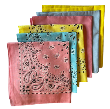 USA Made Paisley & Solid Pink, L Blue, Yellow 6pk 22" 100%Cotton